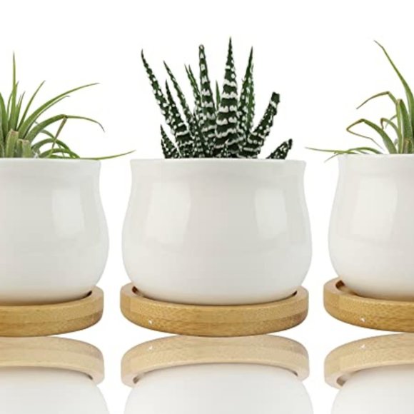 Box of 3 Pcs Ceramic Mini Planters - Picture 2 of 3